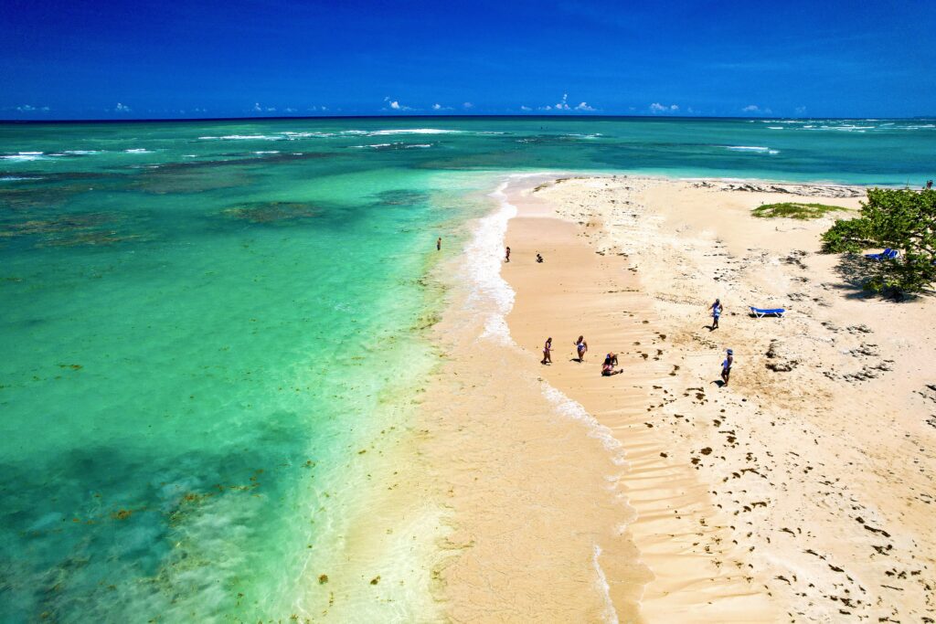 Discover the Best Things to Do in Samana